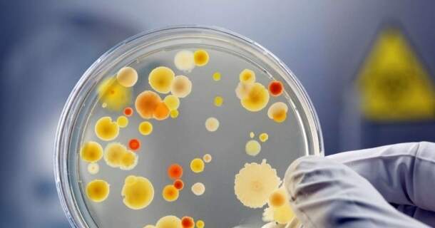 IPCWell - Infection Control Consultant & Expert - United States